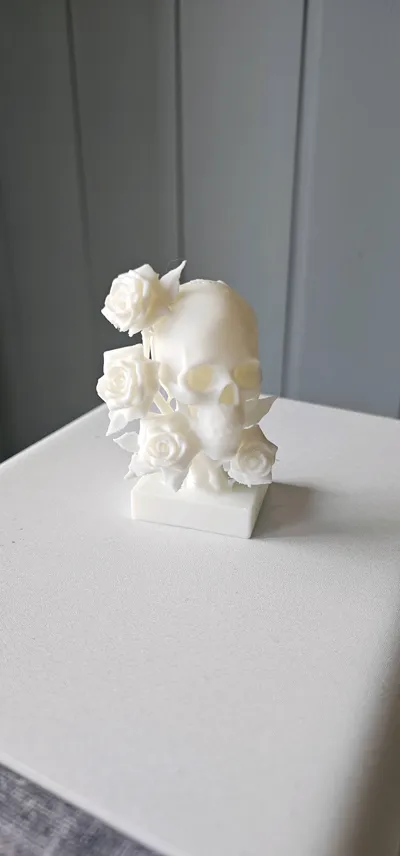 https://makerworld.bblmw.com/makerworld/model/1410559/1478866/ratings/be4483b0-5829-11f0-9cbf-5fc30f59a8c3.jpg