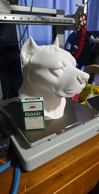 https://makerworld.bblmw.com/makerworld/model/1411530/1465344/ratings/6b02d390-b658-11f0-a6b6-e9ca3d8df1e9.png