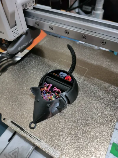 https://makerworld.bblmw.com/makerworld/model/141182/153848/ratings/0102e860-d762-11f0-877f-0118876d4908.jpg