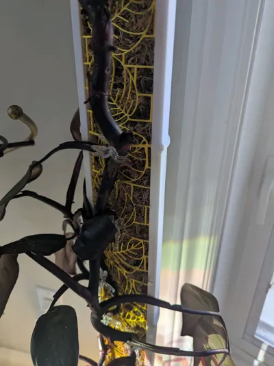 https://makerworld.bblmw.com/makerworld/model/1413600/1467769/ratings/aa7feb70-8732-11f0-b69f-5bda576419f0.jpg