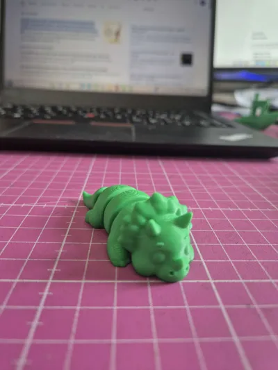 https://makerworld.bblmw.com/makerworld/model/1415266/1469696/ratings/2e1aa8a0-6ef4-11f0-9523-3926e52596e7.jpg