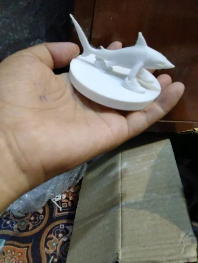 https://makerworld.bblmw.com/makerworld/model/1416793/1471460/ratings/6bbdc3e0-9492-11f0-aaef-4d51821a2f7d.jpg