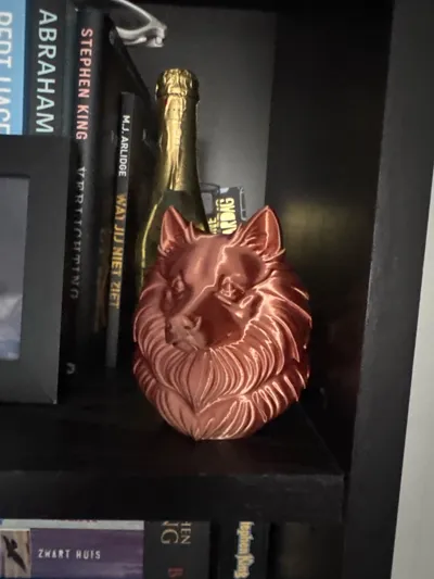 https://makerworld.bblmw.com/makerworld/model/1416922/1471610/ratings/8553d8e0-c2d6-11f0-8803-6dc888cc78ac.jpg