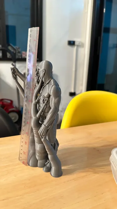 https://makerworld.bblmw.com/makerworld/model/1417458/1472229/ratings/37429a70-962a-11f0-9922-2fccad20e209.jpg