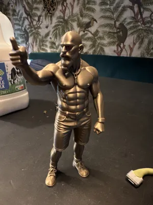 https://makerworld.bblmw.com/makerworld/model/1417458/1472229/ratings/de055990-4ccb-11f0-9ae0-a9d30ad1f4a0.jpg