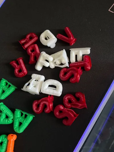 https://makerworld.bblmw.com/makerworld/model/1417671/1476573/ratings/11bc02f0-d7fc-11f0-b575-714918cc30a5.jpg