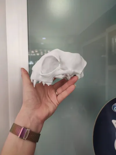 https://makerworld.bblmw.com/makerworld/model/1418169/1473010/ratings/7105a0b0-3552-11f0-a666-5f15c4c72651.jpg