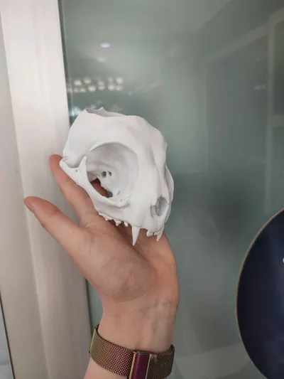 https://makerworld.bblmw.com/makerworld/model/1418169/1473010/ratings/711d6e70-3552-11f0-a666-5f15c4c72651.jpg