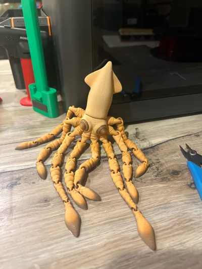 https://makerworld.bblmw.com/makerworld/model/1420252/1475483/ratings/affcf870-f87c-11f0-b5b1-09570f9ef60e.jpg