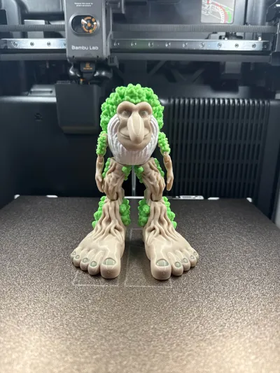 https://makerworld.bblmw.com/makerworld/model/1420871/1476233/ratings/8732d280-e96c-11f0-8172-dd45589b3582.jpg