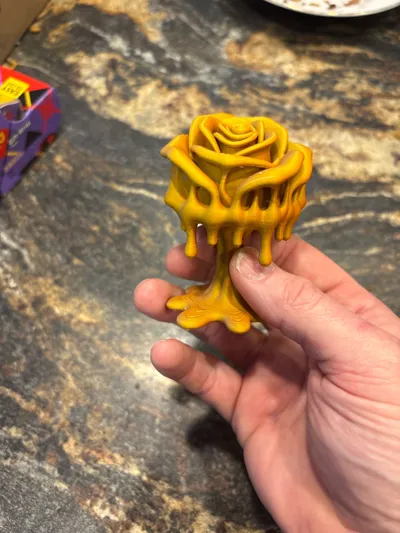 https://makerworld.bblmw.com/makerworld/model/1422016/1477536/ratings/7ea737b0-e0f6-11f0-8696-c9d291878e24.jpg