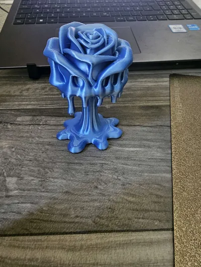 https://makerworld.bblmw.com/makerworld/model/1422016/1477536/ratings/9d2e8290-362b-11f0-8610-fb676deafb42.jpg