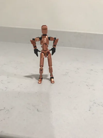 https://makerworld.bblmw.com/makerworld/model/1422260/1477784/ratings/839017b0-e5e7-11f0-ab1c-ed621541704b.jpg
