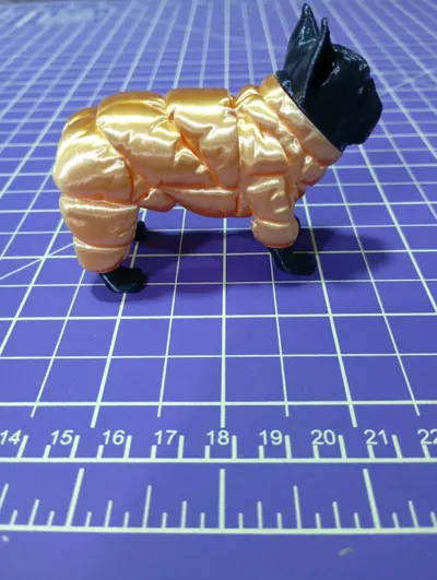 https://makerworld.bblmw.com/makerworld/model/1422414/1477970/ratings/87f14ce0-7dc6-11f0-909f-d3c0e01180a8.jpg