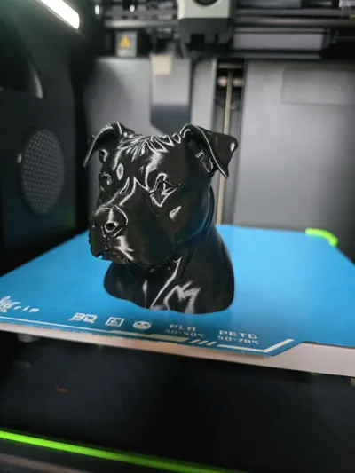 https://makerworld.bblmw.com/makerworld/model/1423470/1479291/ratings/f8e69f10-a065-11f0-8b25-4f339348efb6.jpg