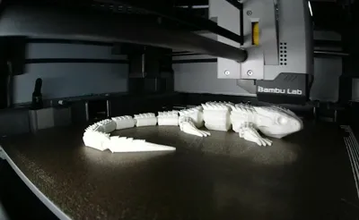 https://makerworld.bblmw.com/makerworld/model/1423914/1479778/ratings/33d9ced0-b277-11f0-8750-a556c4dfe12f.jpg