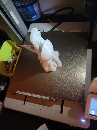 https://makerworld.bblmw.com/makerworld/model/1425578/1739093/ratings/c13438b0-e396-11f0-81b0-71e267ba51fd.jpg