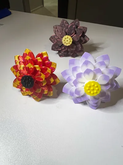 https://makerworld.bblmw.com/makerworld/model/1425833/1481996/ratings/279a89f0-4b0e-11f0-b8c5-b38aad2c866d.jpg