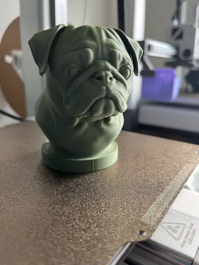 https://makerworld.bblmw.com/makerworld/model/1426065/1482262/ratings/ff4e1f60-6706-11f0-90fd-b5f356356b90.jpg