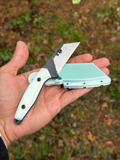 https://makerworld.bblmw.com/makerworld/model/1427512/1499519/ratings/a0478e10-df7f-11f0-8c4b-a54005004f8a.jpg