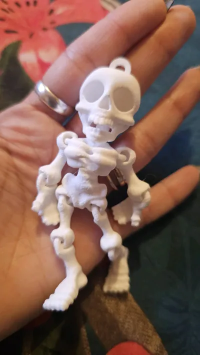 https://makerworld.bblmw.com/makerworld/model/1427592/1483905/ratings/f66ff710-adc9-11f0-8fe5-3fe098da3f14.jpg
