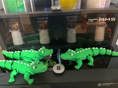 https://makerworld.bblmw.com/makerworld/model/1428471/1485074/ratings/18f15710-67d5-11f0-95fc-bb3fb5e4eb2d.jpg