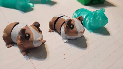 https://makerworld.bblmw.com/makerworld/model/1429303/1485940/ratings/1236a8b0-c87b-11f0-a993-996ea9cecff3.jpg