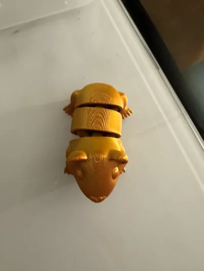 https://makerworld.bblmw.com/makerworld/model/1429303/1485965/ratings/806093d0-3a6b-11f0-a030-ab89c4115458.jpg