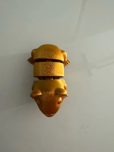 https://makerworld.bblmw.com/makerworld/model/1429303/1485965/ratings/806304d0-3a6b-11f0-a030-ab89c4115458.jpg