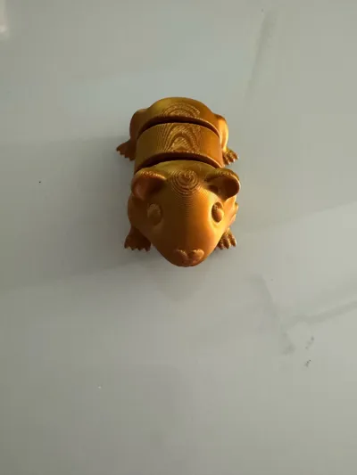 https://makerworld.bblmw.com/makerworld/model/1429303/1485965/ratings/806500a0-3a6b-11f0-a030-ab89c4115458.jpg