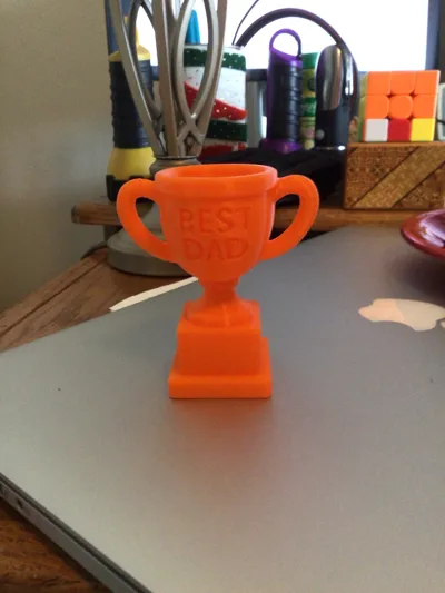 https://makerworld.bblmw.com/makerworld/model/1431081/1488067/ratings/69f51820-f706-11f0-97fb-1f90fbfe929b.jpg