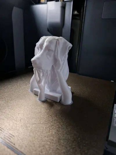 https://makerworld.bblmw.com/makerworld/model/1433078/1490515/ratings/485b8850-393a-11f0-a4d7-6d4104993183.jpg