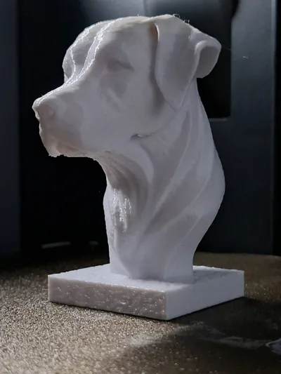 https://makerworld.bblmw.com/makerworld/model/1433078/1490515/ratings/485c2490-393a-11f0-a4d7-6d4104993183.jpg