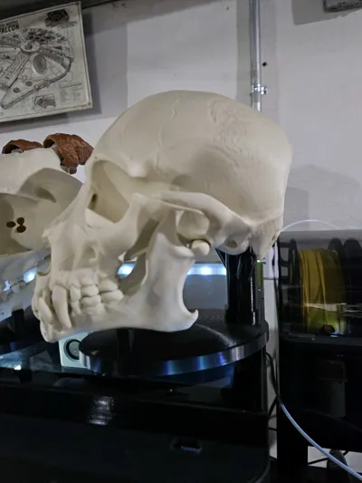 https://makerworld.bblmw.com/makerworld/model/1434955/1492671/ratings/572e47f0-635b-11f0-8ea0-dda208766b17.jpg