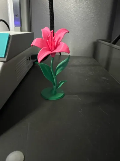https://makerworld.bblmw.com/makerworld/model/1435062/1492810/ratings/4d6b1dc0-37d6-11f0-b03f-e15a0475d9ed.jpg