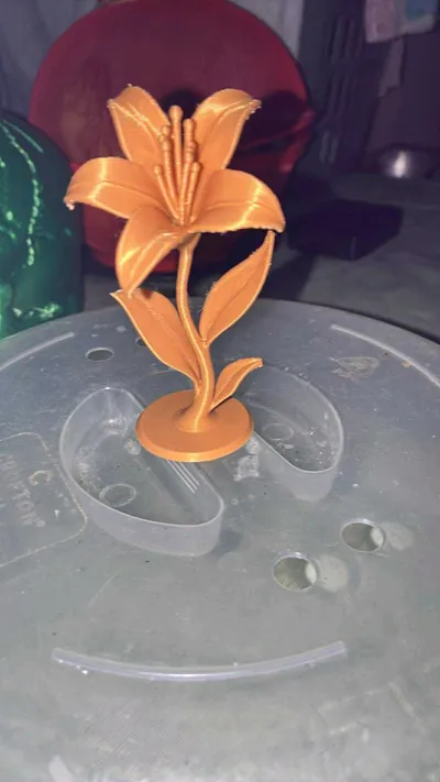 https://makerworld.bblmw.com/makerworld/model/1435062/1492810/ratings/5e78e520-aeaa-11f0-a47f-533703fdd6e5.jpg