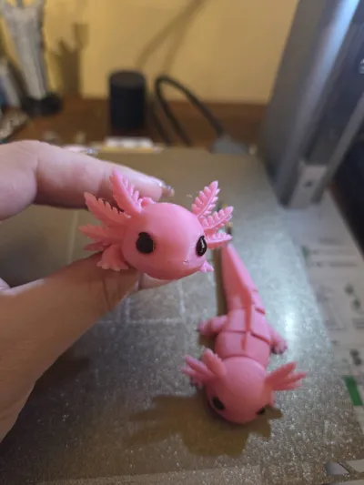 https://makerworld.bblmw.com/makerworld/model/1436120/1494093/ratings/17d5fa30-8caf-11f0-9089-9571790bb6eb.jpg