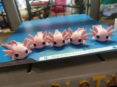 https://makerworld.bblmw.com/makerworld/model/1436120/1494093/ratings/6c399fc0-c6c8-11f0-8a34-abf06f0231d2.jpg