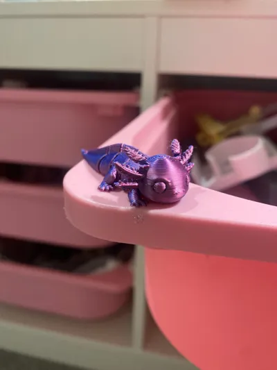 https://makerworld.bblmw.com/makerworld/model/1436120/1494093/ratings/dc6914e0-a221-11f0-bfec-6bc20f5af32f.jpg