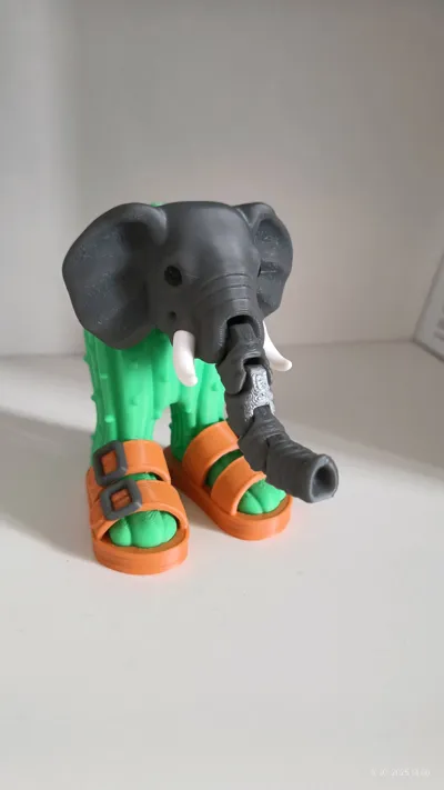 https://makerworld.bblmw.com/makerworld/model/1437056/1495190/ratings/db633800-a2ad-11f0-85d1-c15639118c79.jpg