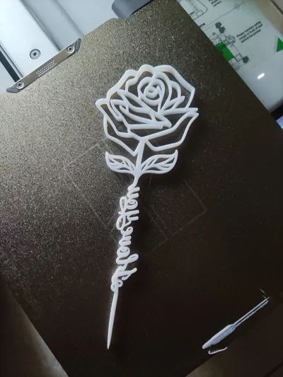https://makerworld.bblmw.com/makerworld/model/143736/156237/ratings/19cbd4b0-ffef-11ef-9eee-b71370401f76.jpg