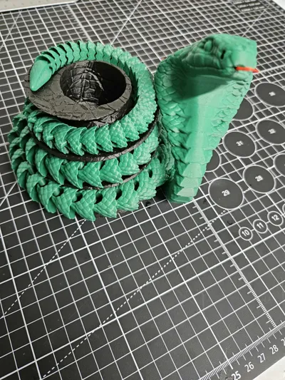 https://makerworld.bblmw.com/makerworld/model/14376/14404/ratings/e51c6280-3f58-11f0-ad23-2d20469a363a.jpg