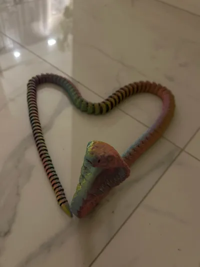 https://makerworld.bblmw.com/makerworld/model/14376/736882/ratings/3f7b31e0-db6a-11f0-a68f-29bb667312f5.jpg