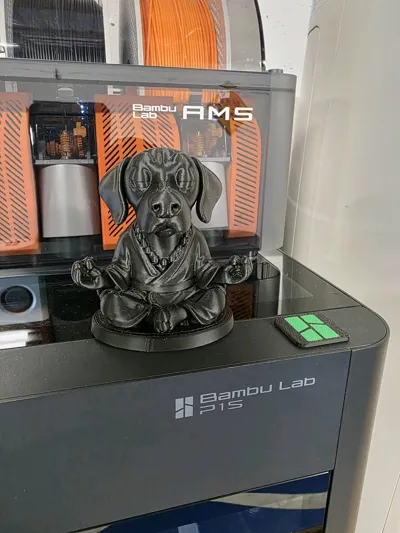 https://makerworld.bblmw.com/makerworld/model/1437957/1496259/ratings/6101baa0-65b3-11f0-a11a-434057f1acfa.jpg