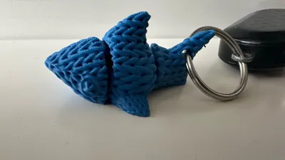 https://makerworld.bblmw.com/makerworld/model/1437981/1496282/ratings/1778e270-96e9-11f0-b41e-69d0bf5026bf.jpg