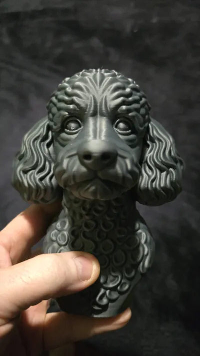 https://makerworld.bblmw.com/makerworld/model/1438678/1497046/ratings/98f13870-e24d-11f0-923f-65c5f73533df.jpg