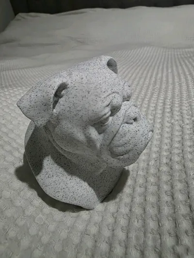 https://makerworld.bblmw.com/makerworld/model/1438682/1497051/ratings/6f8ead00-60d4-11f0-aa66-d5d95a27b890.jpg