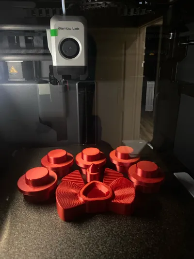 https://makerworld.bblmw.com/makerworld/model/1440286/1499016/ratings/b5e8ddd0-cf3c-11f0-9212-85086fa87238.jpg