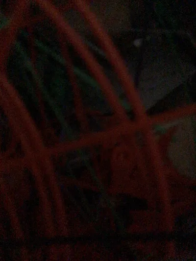 https://makerworld.bblmw.com/makerworld/model/1440780/1499598/ratings/22d483c0-9678-11f0-9ae7-019749cc05f7.jpg