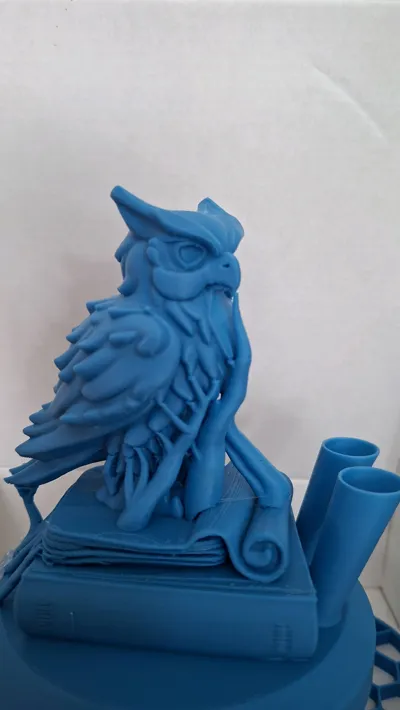 https://makerworld.bblmw.com/makerworld/model/1440889/1499720/ratings/3a196770-80fd-11f0-af8e-2f9357260f60.jpg